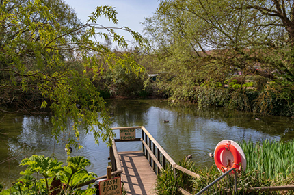 The Historic Carp Pond