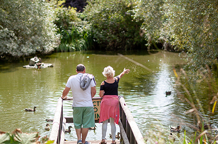 The Historic Carp Pond