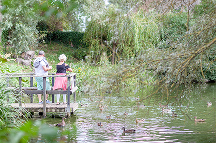 The Historic Carp Pond