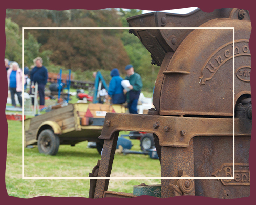 Arreton Barns Events What's On