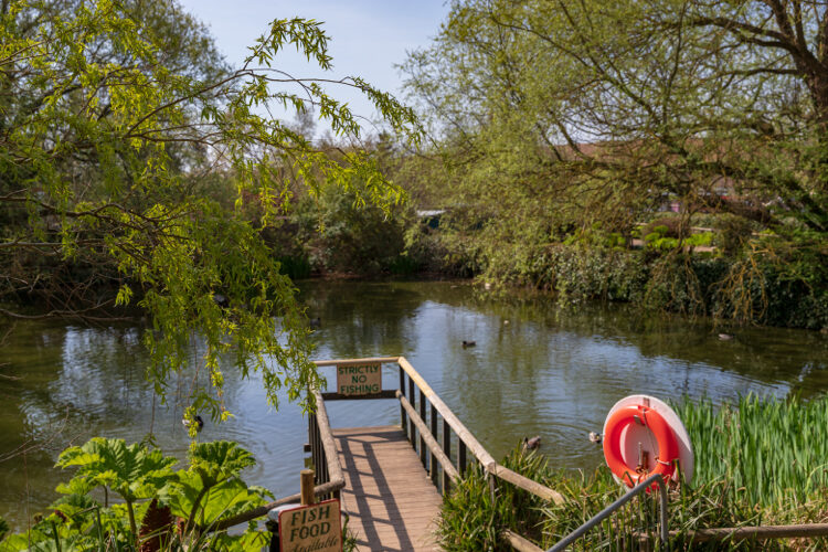 The Historic Carp Pond at Arreton Barns, Isle of Wight